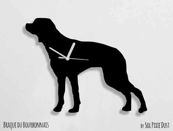 Braque du Bourbonnais Dog: Braque Braque Du Bourbonnais Dog Wall Clock Breed