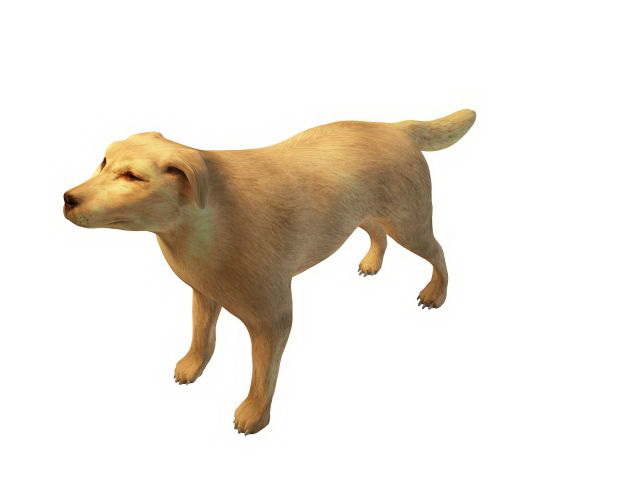 Broholmer Dog: Broholmer Model Breed