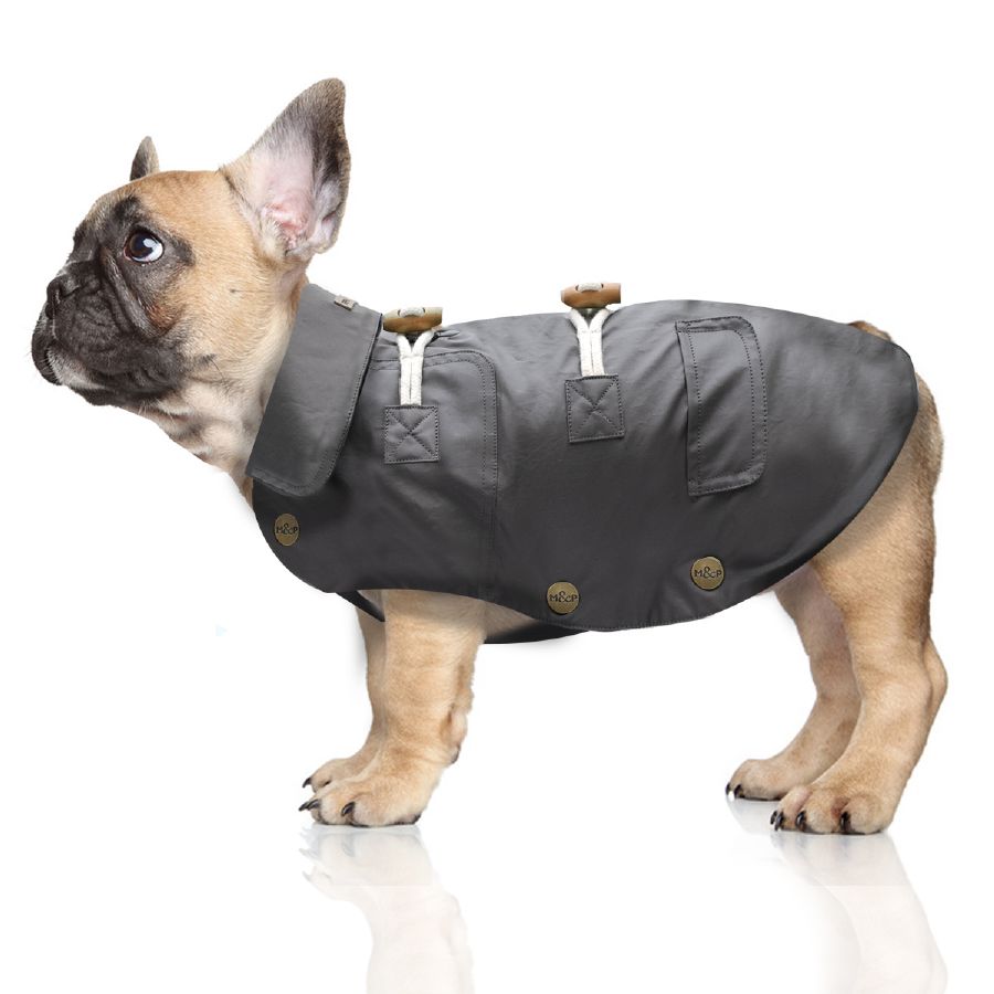 Chien-gris Dog: Chien Gris Impermeable Gris En Coton Pour Chien Cx Breed