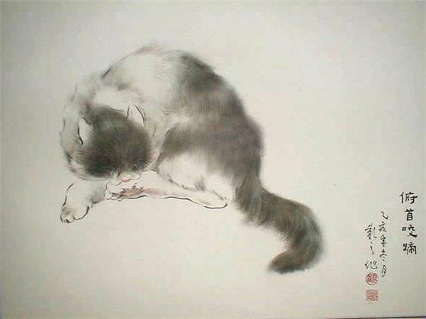 Korean Bobtail Cat: Korean Asian Art Cats Breed