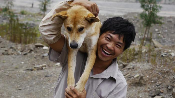 Kunming Wolfdog Puppies: Kunming Kunming Dog Dccfcfb Breed