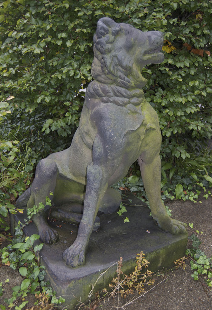 Molossus of Epirus Dog: Molossus Roman Molossian Dog Breed