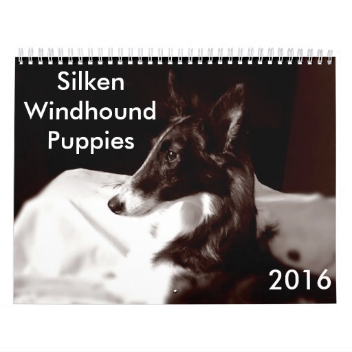 Silken Windhound Puppies: Silken Silkenwindhoundpuppiescalendar Breed