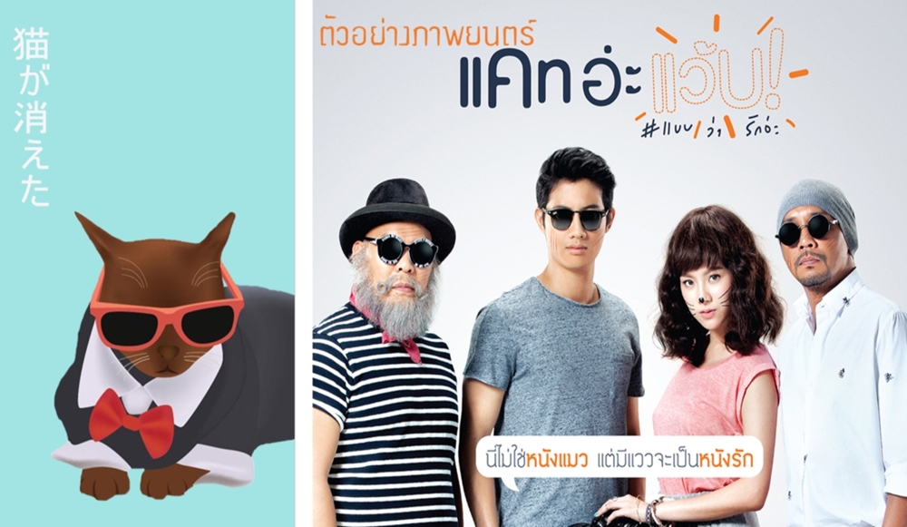 Suphalak Cat: Suphalak Johnny Superstar Cat Thailand Bangkok Own Bank Account Breed