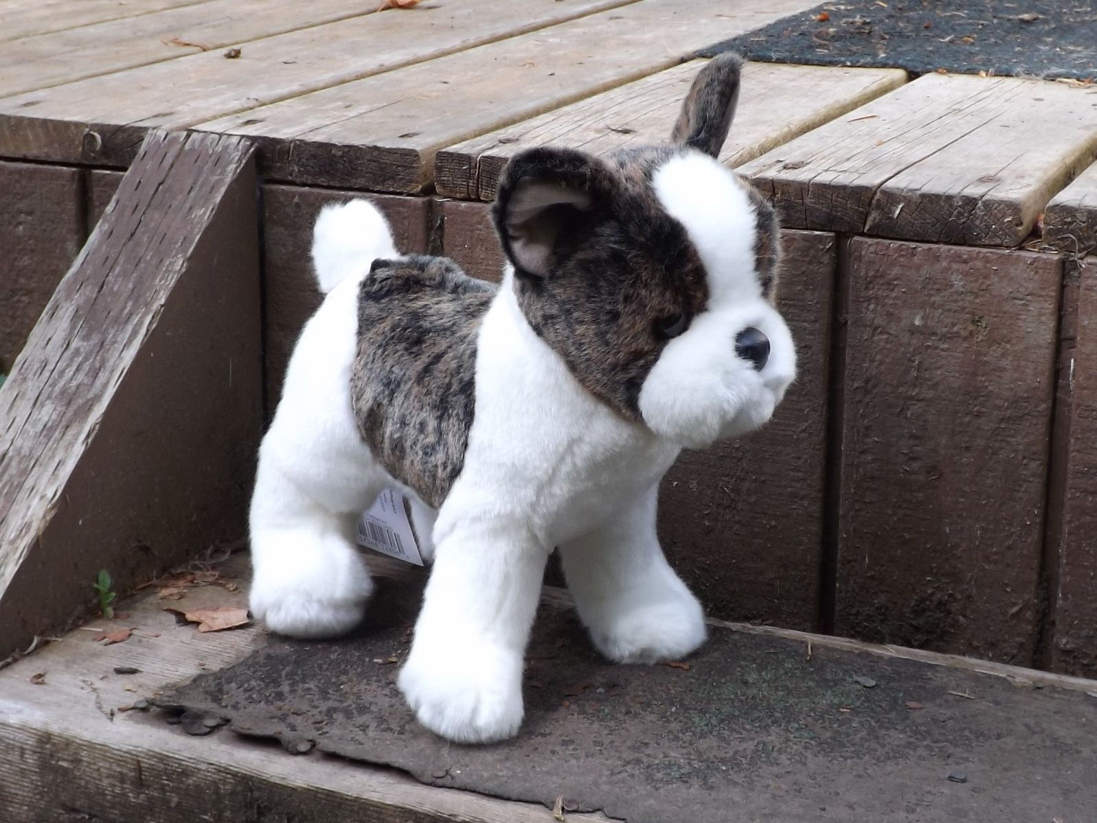 Toy Bulldog Dog: Toy Stuffed French Bulldog D Breed