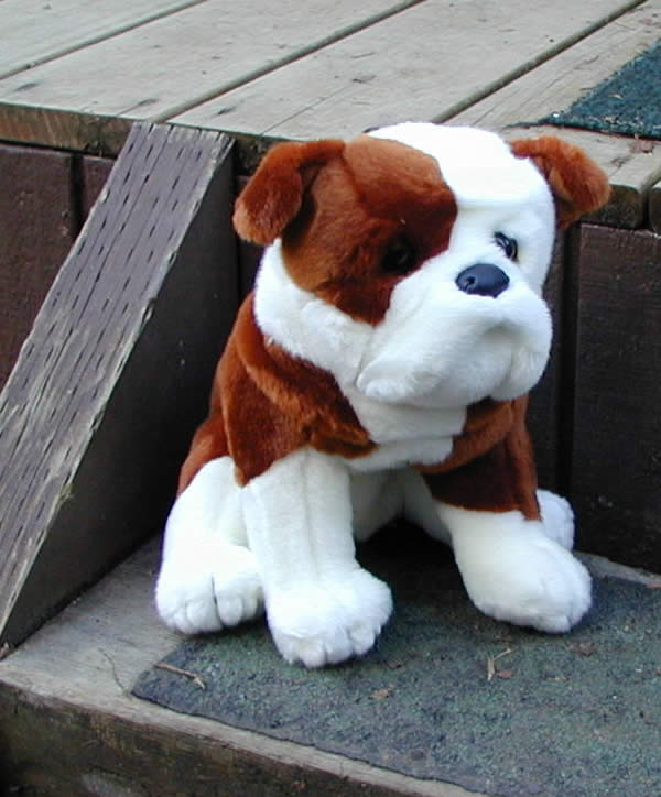 Toy Bulldog Dog: Toy Stuffed Toy Bulldog Breed
