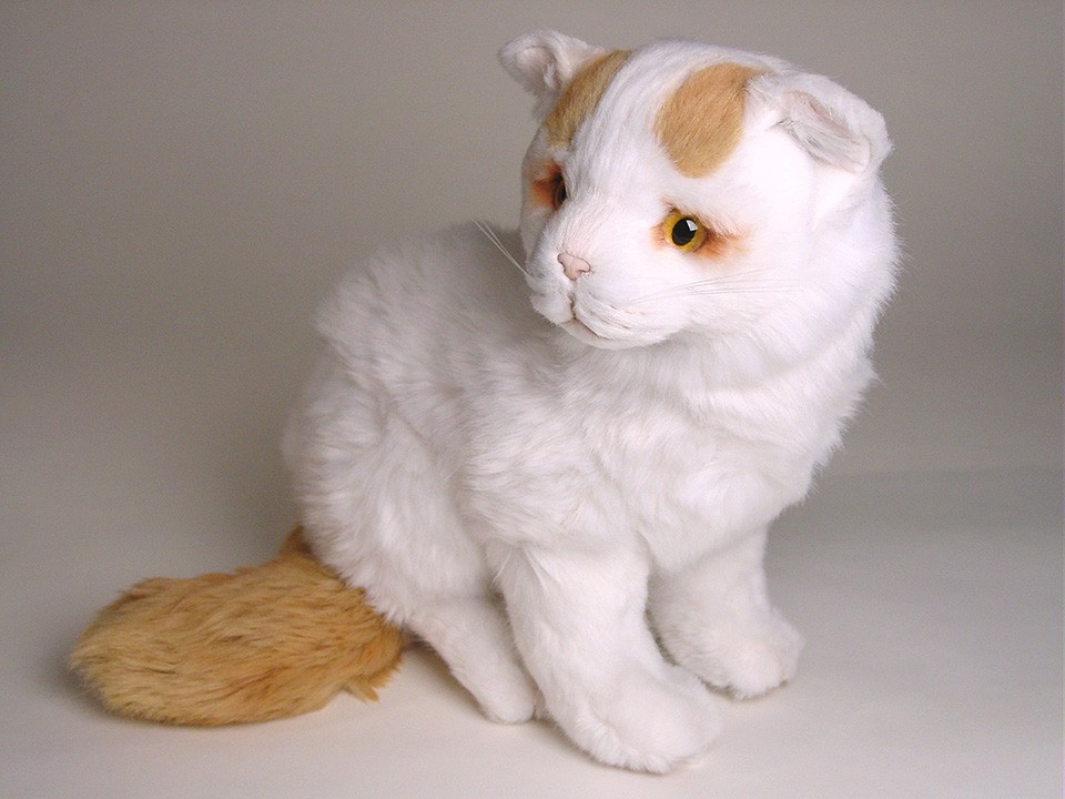 Turkish Van Cat: Turkish Turkish Van Kitten Plush Stuffed Soft Piutre Handmade Italy Breed