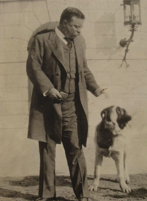 Teddy Roosevelt Terrier Dog: Whitehousepets Breed